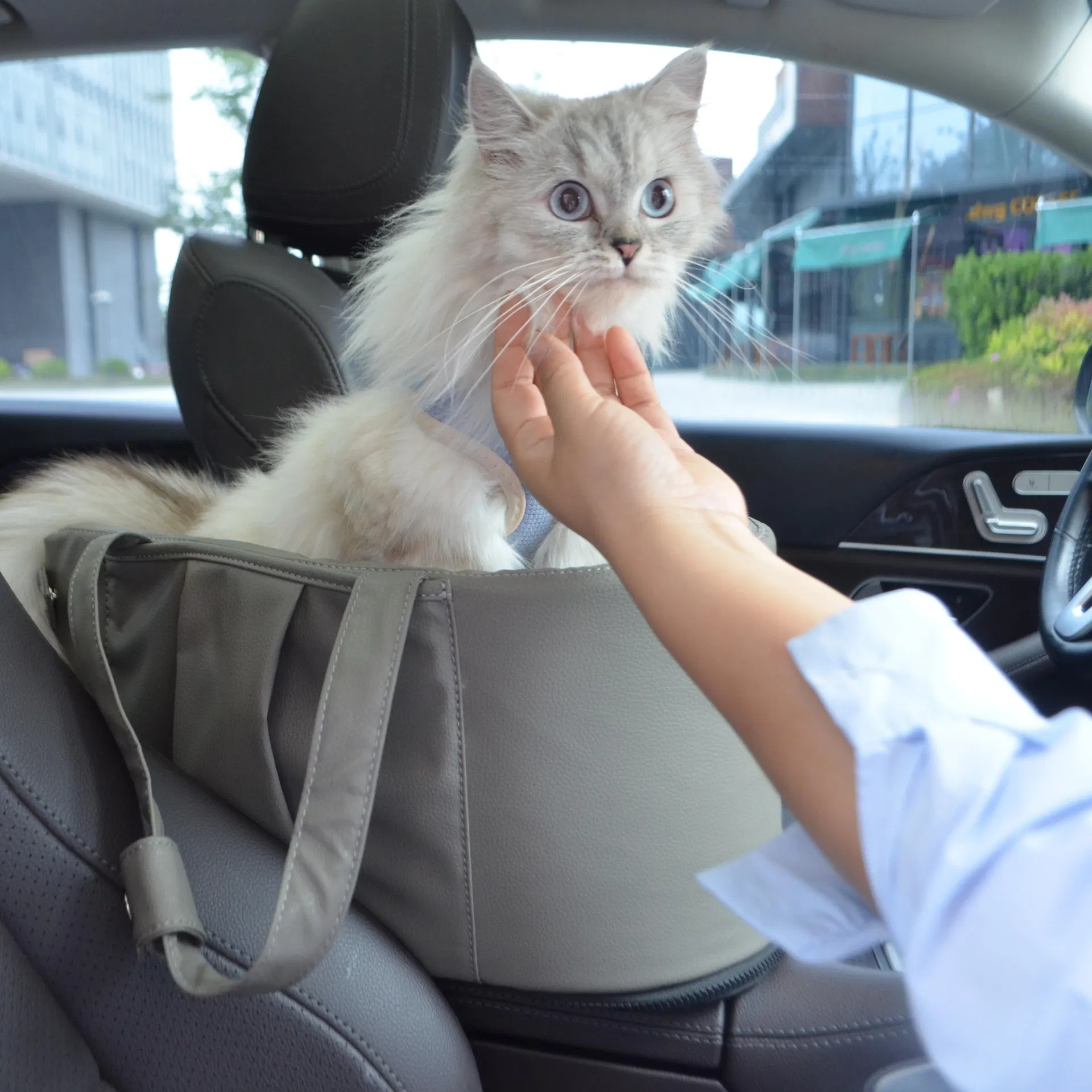 Fashion Faux Leather Dog Bed for Car, Soft PP Cotton Synthetic Leather Pet Net for out Door